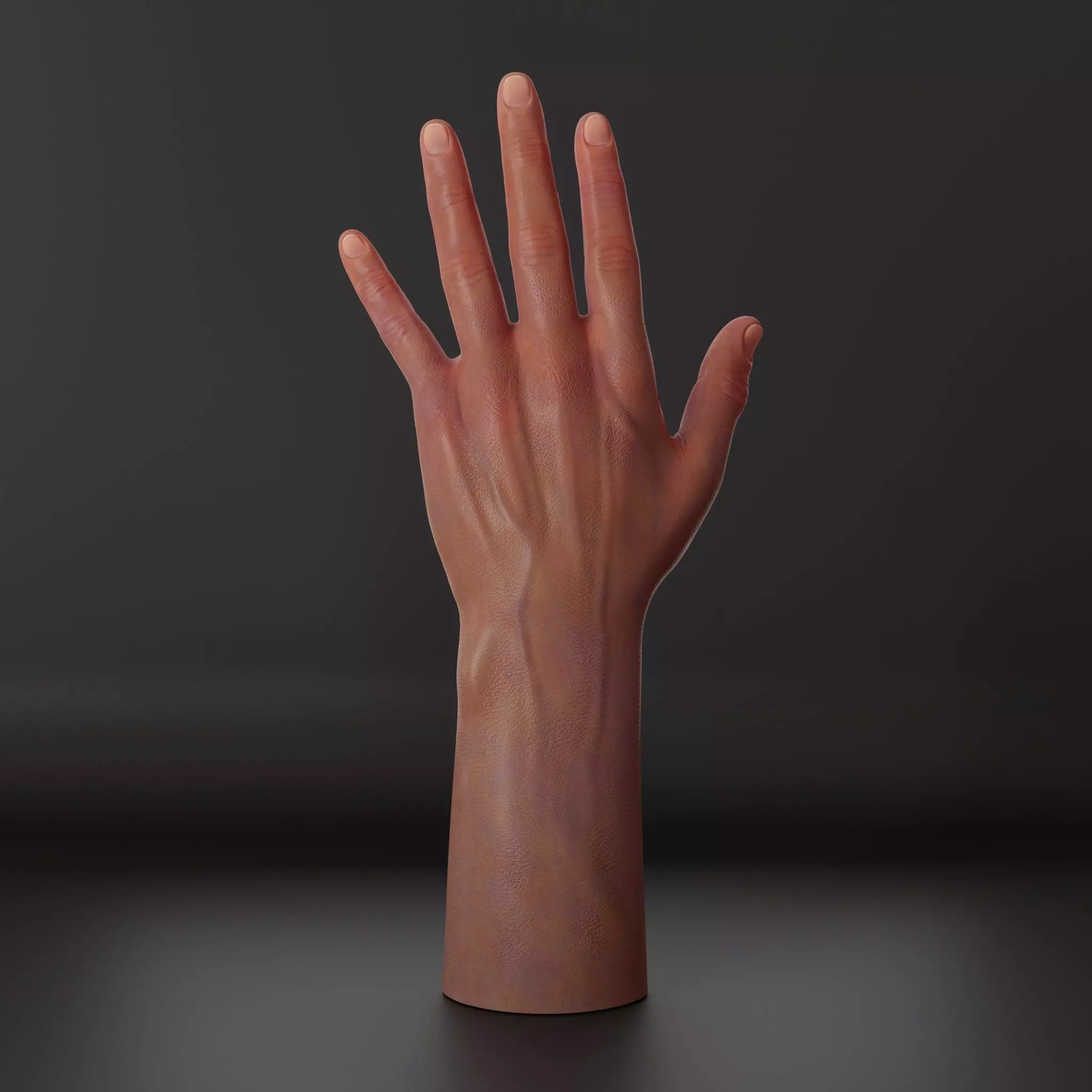 Realistic hand 3d model Low-poly 3D model_1