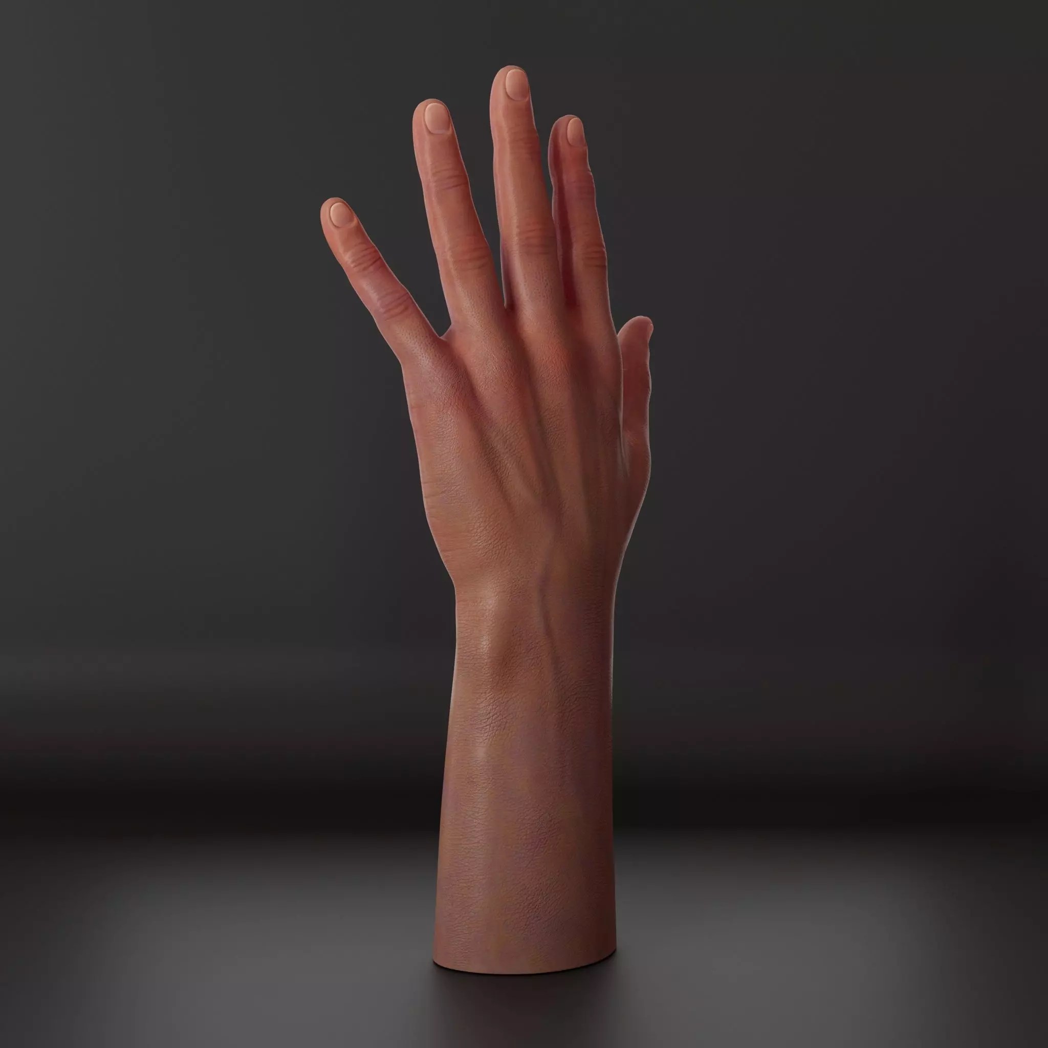 Realistic hand 3d model Low-poly 3D model_4