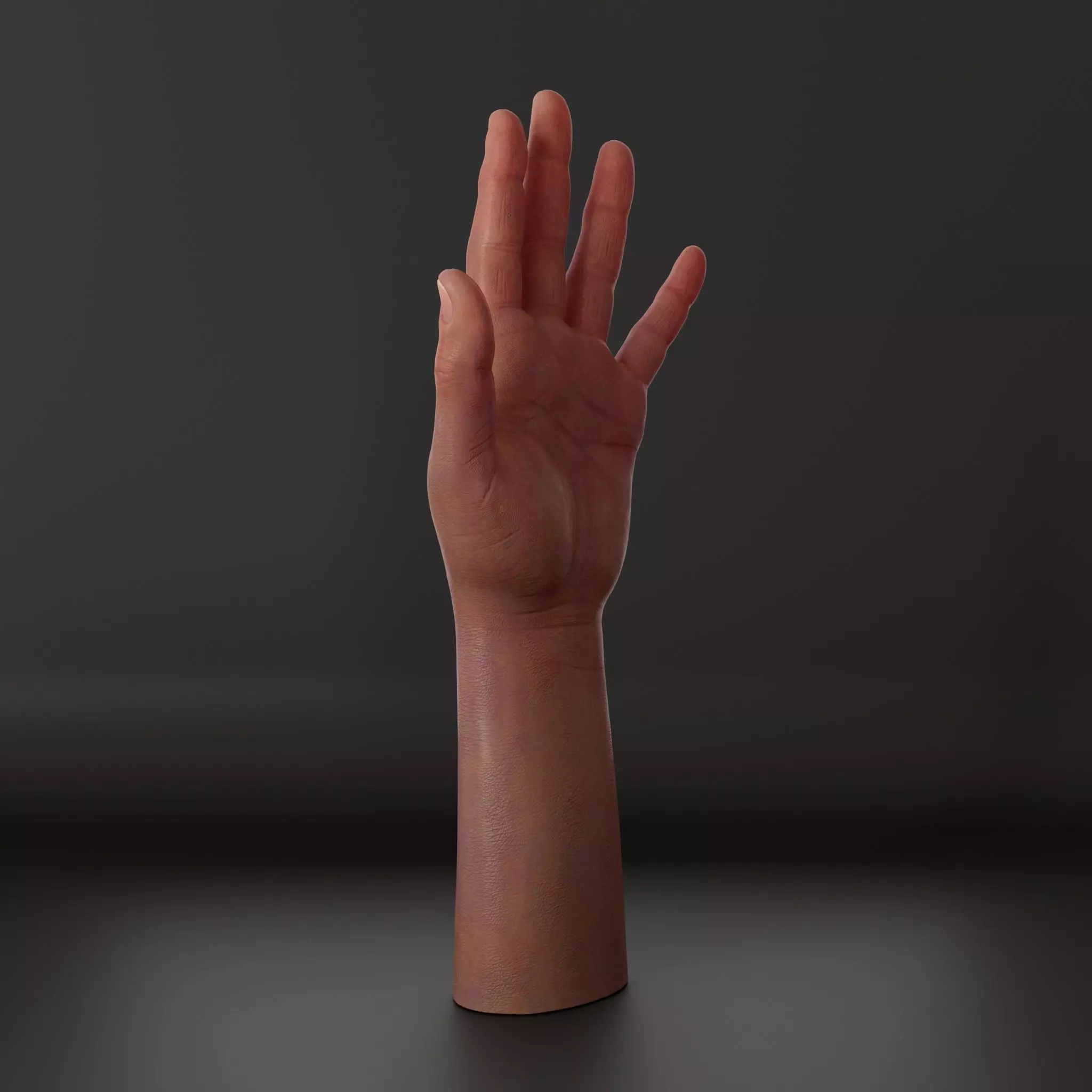 Realistic hand 3d model Low-poly 3D model_3