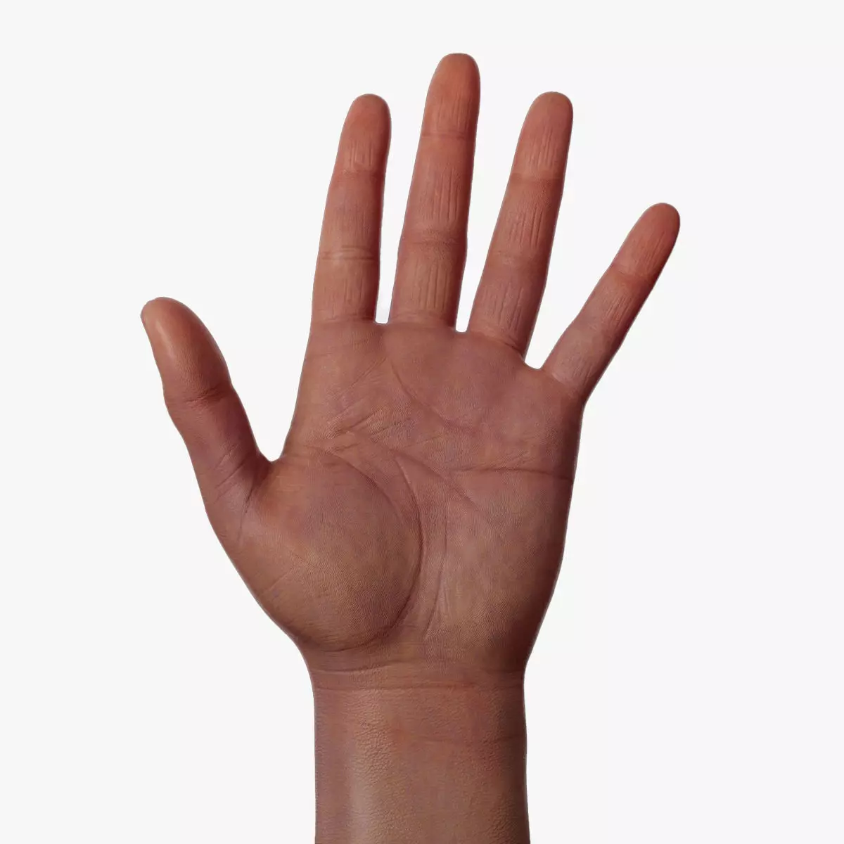 Realistic hand 3d model Low-poly 3D model_0