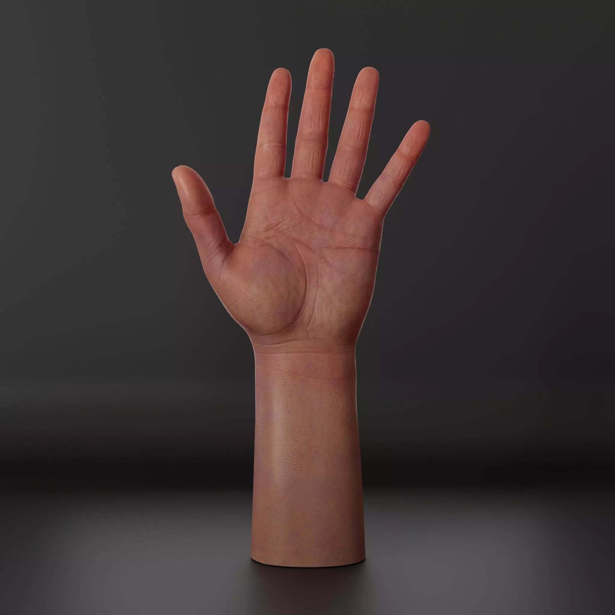 Realistic hand 3d model Low-poly 3D model_2