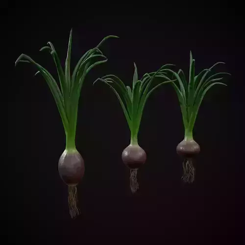 Red Onions Low-poly 3D model