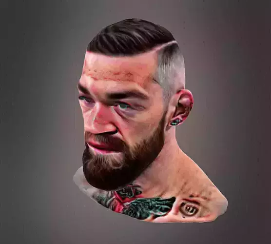Conor McGregor bust 3D print model