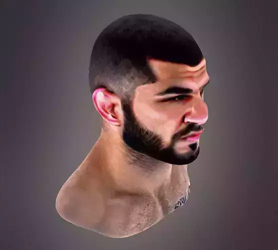 Khabib Ufc Bust