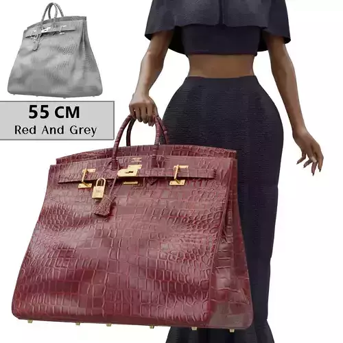 Birkin 55 HAC Croc Bag