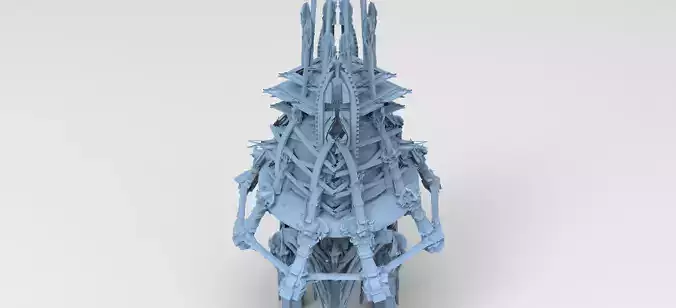 Scull knight bone tower