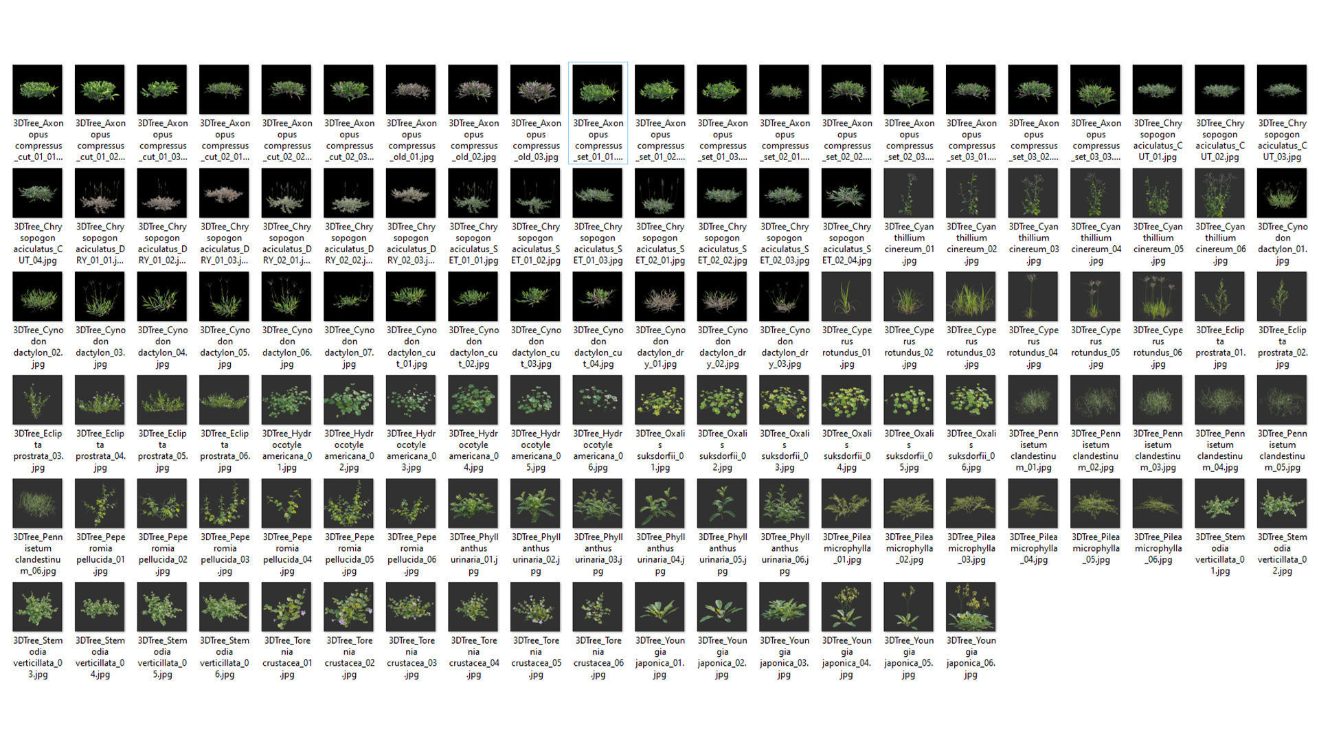 Collection 20 - Grasses 3D model_2