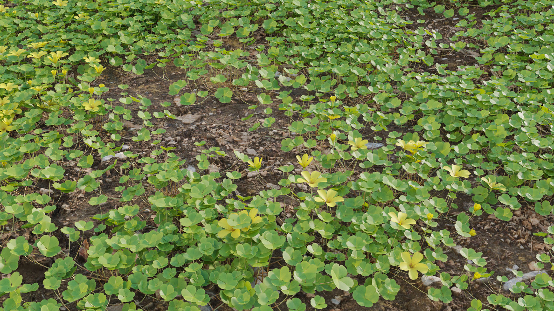 Collection 20 - Grasses 3D model_39