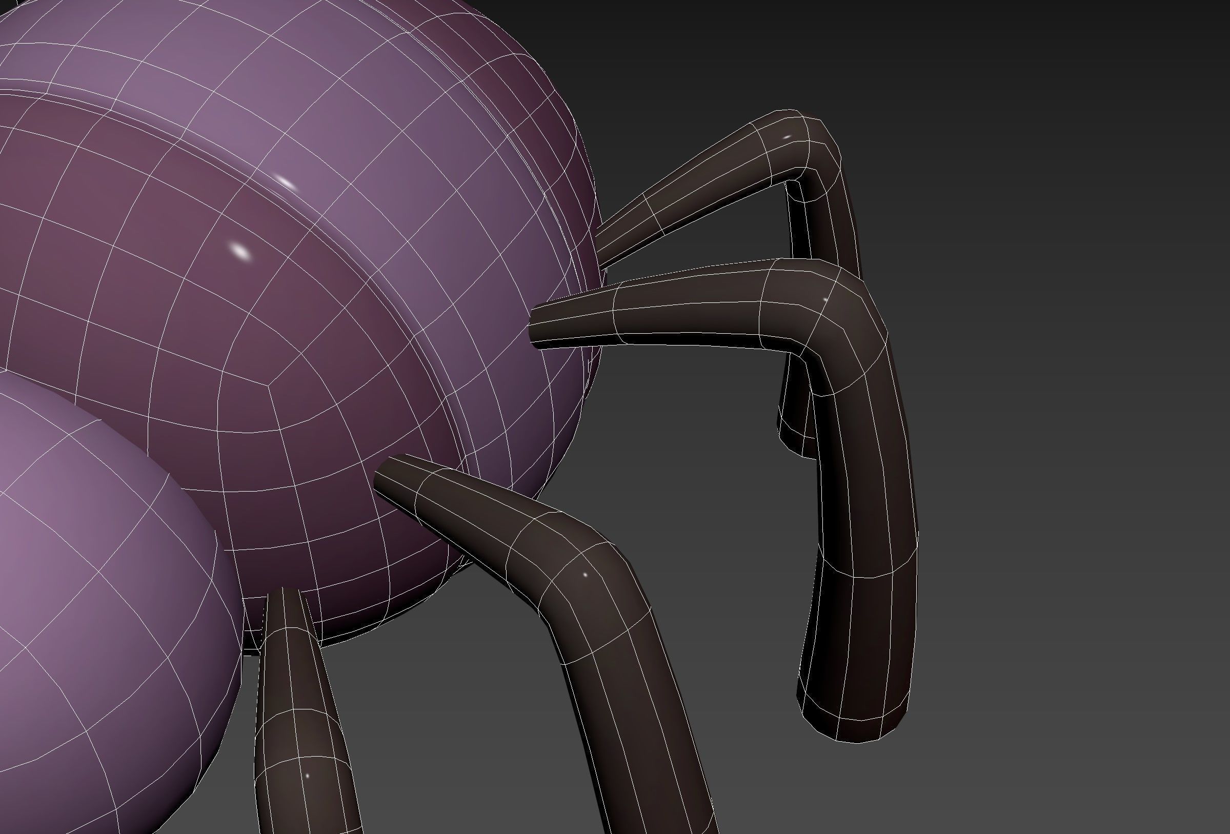 Character273 Spider 3D model_33