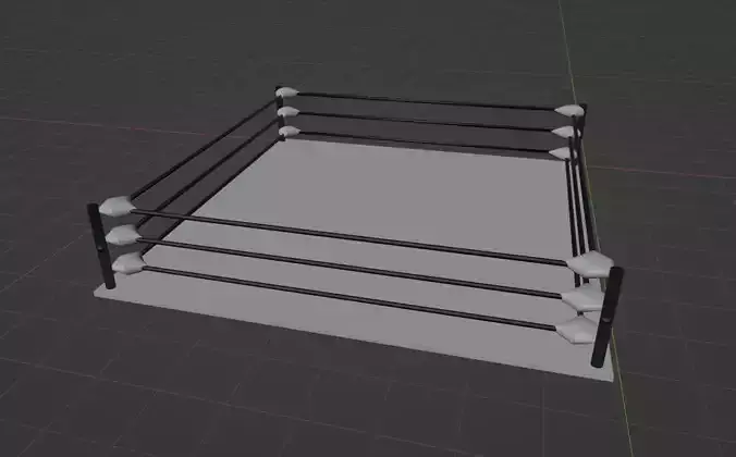 Boxing Ring