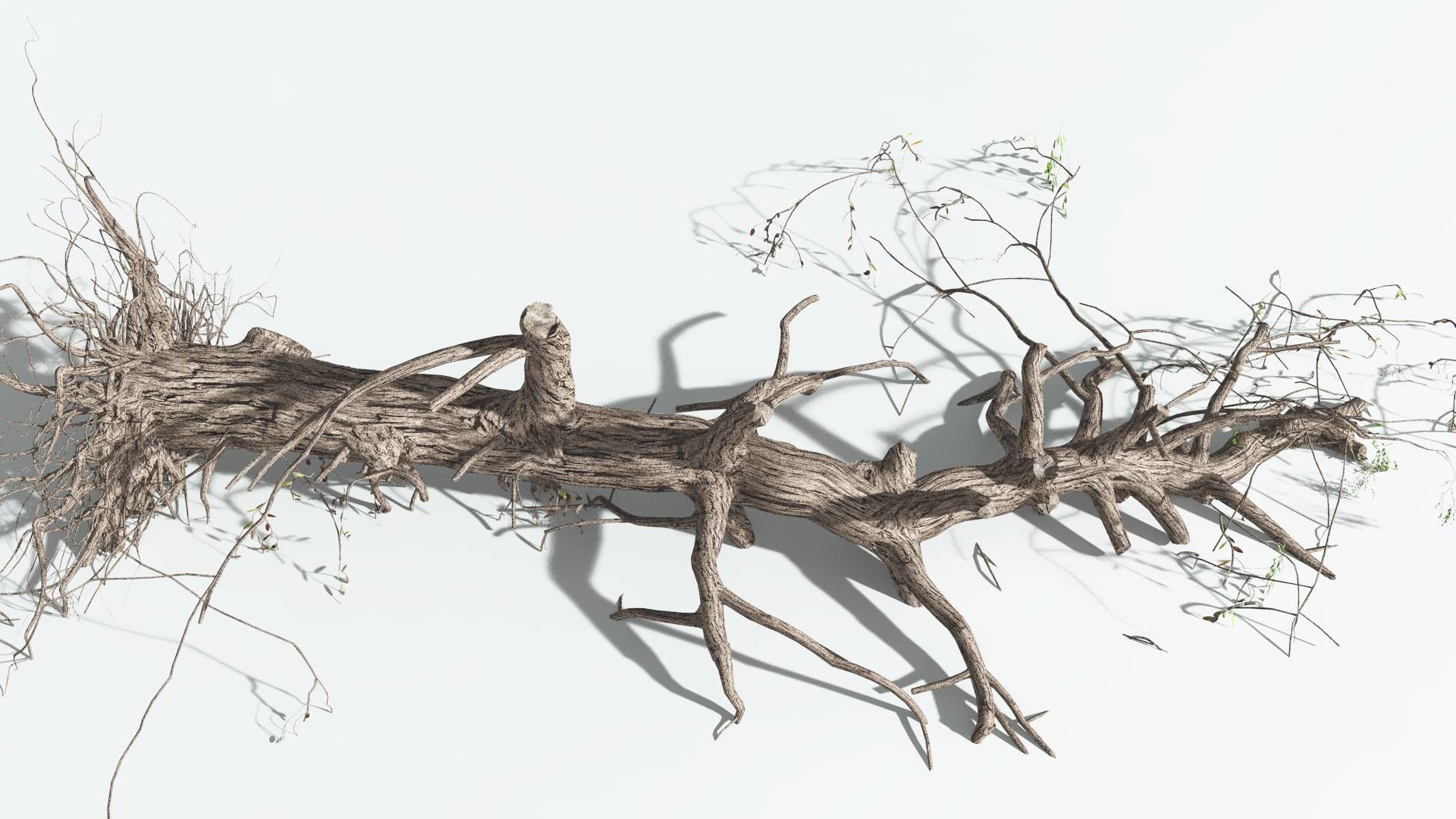 EVERYPlant Weeping Willow 3 --15 Models-- 3D model_20