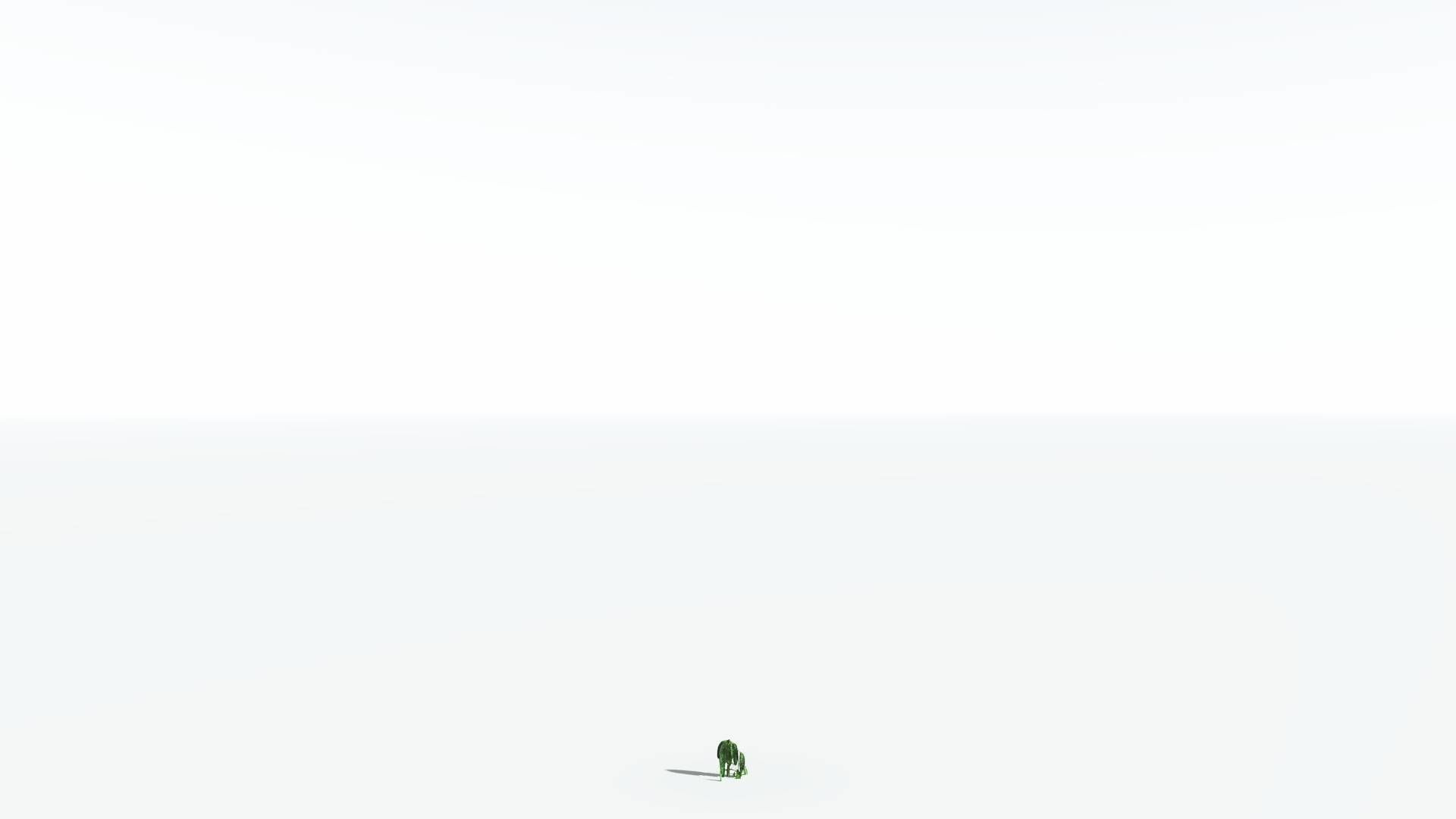 EVERYPlant Weeping Willow 3 --15 Models-- 3D model_27