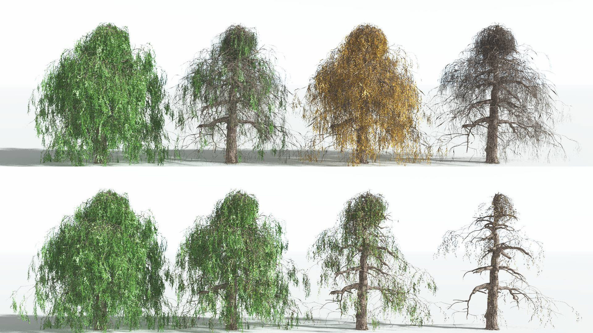 EVERYPlant Weeping Willow 3 --15 Models-- 3D model_1