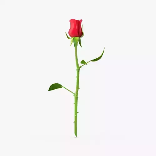 The Rose Low-poly 3D model
