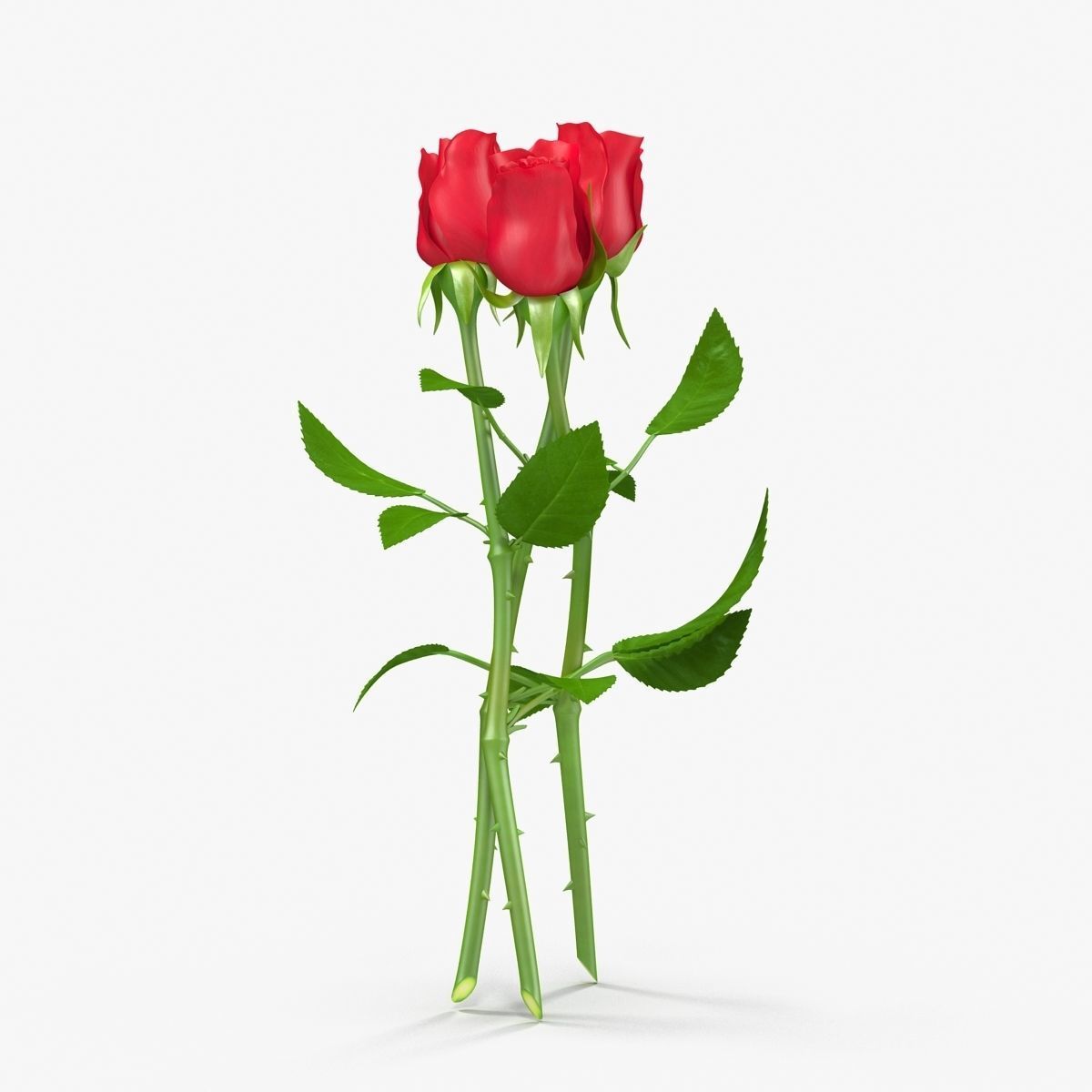 Rose Bouquet Low-poly 3D model_11