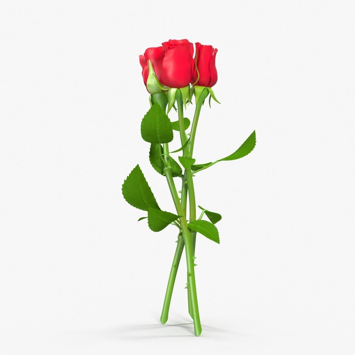Rose Bouquet Low-poly 3D model_14