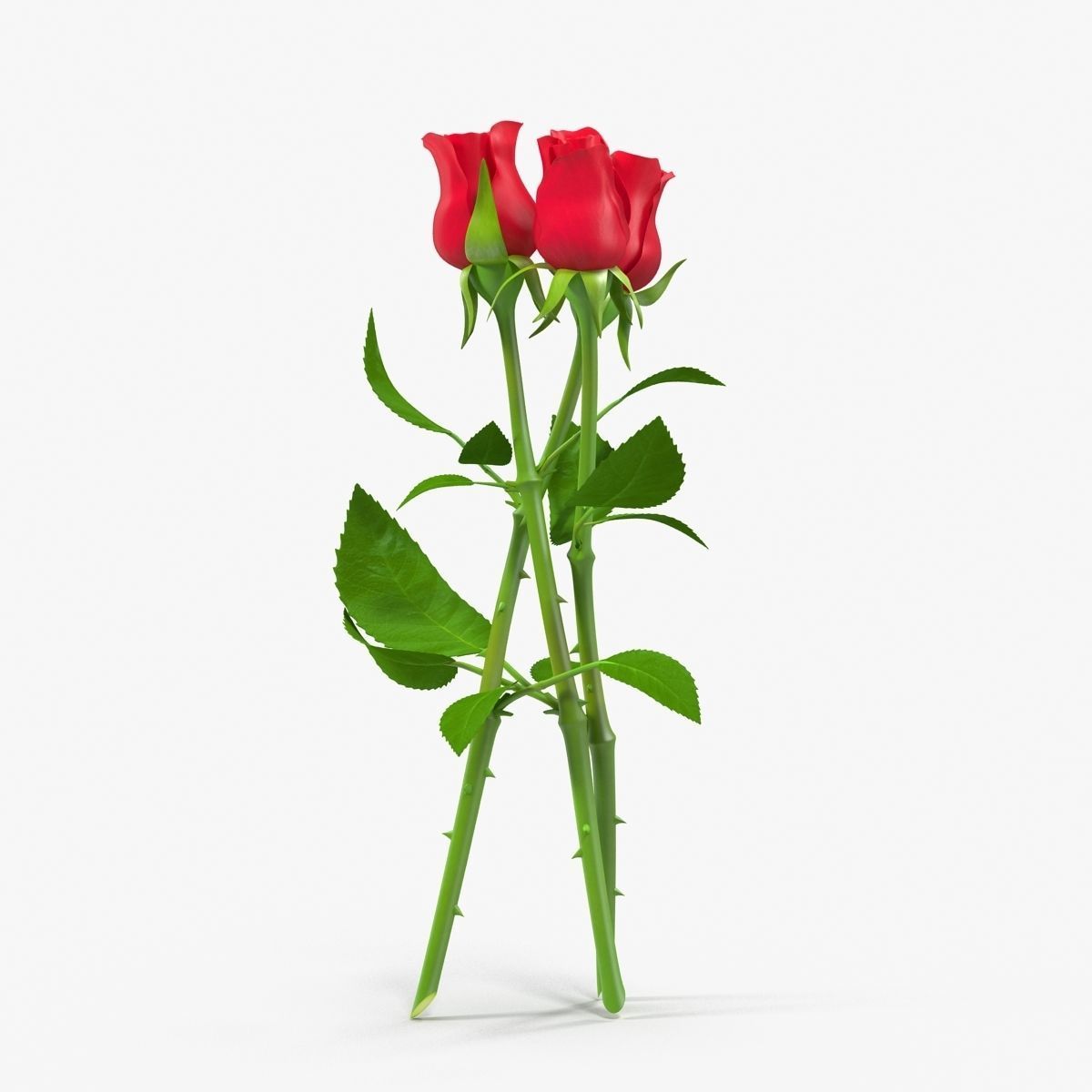 Rose Bouquet Low-poly 3D model_13