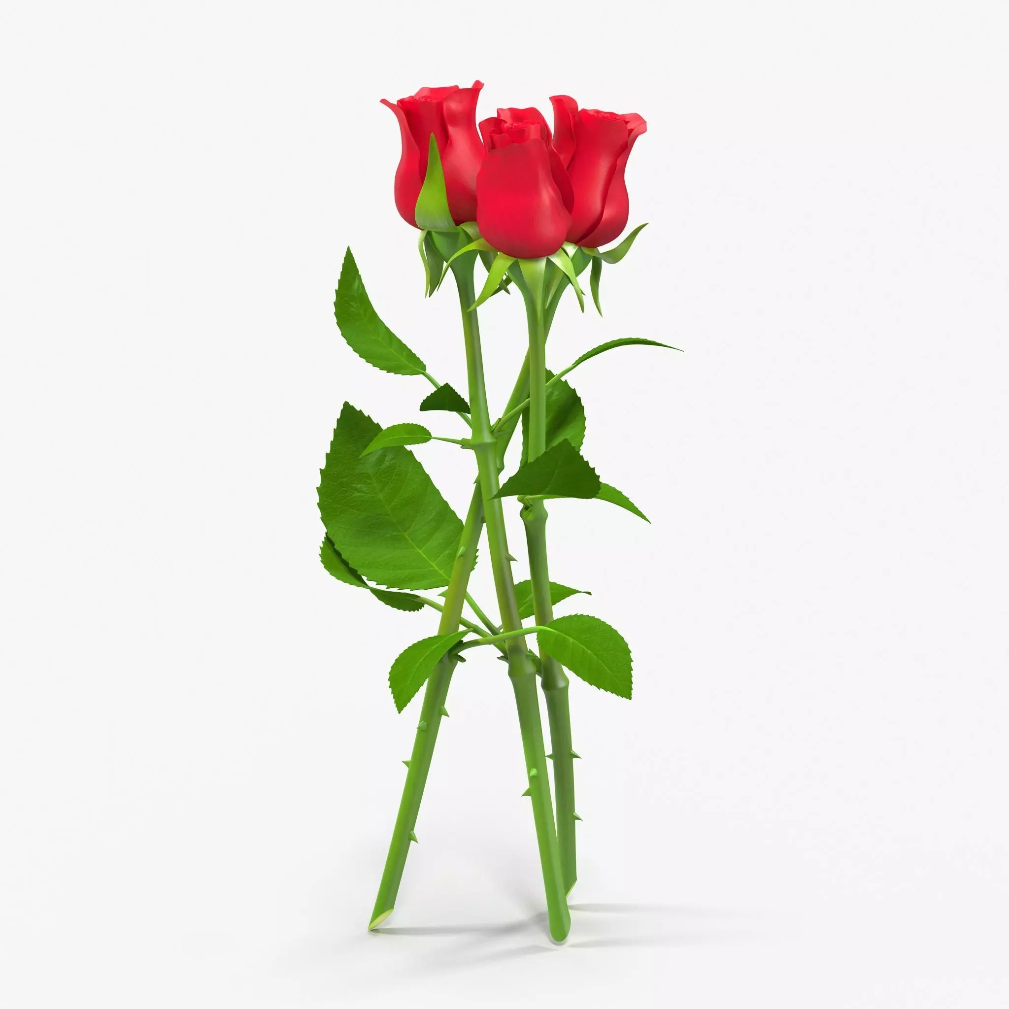 Rose Bouquet Low-poly 3D model_0