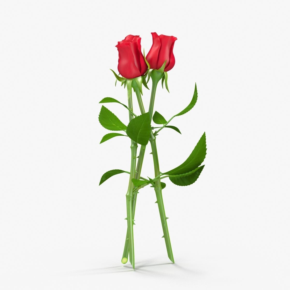 Rose Bouquet Low-poly 3D model_15