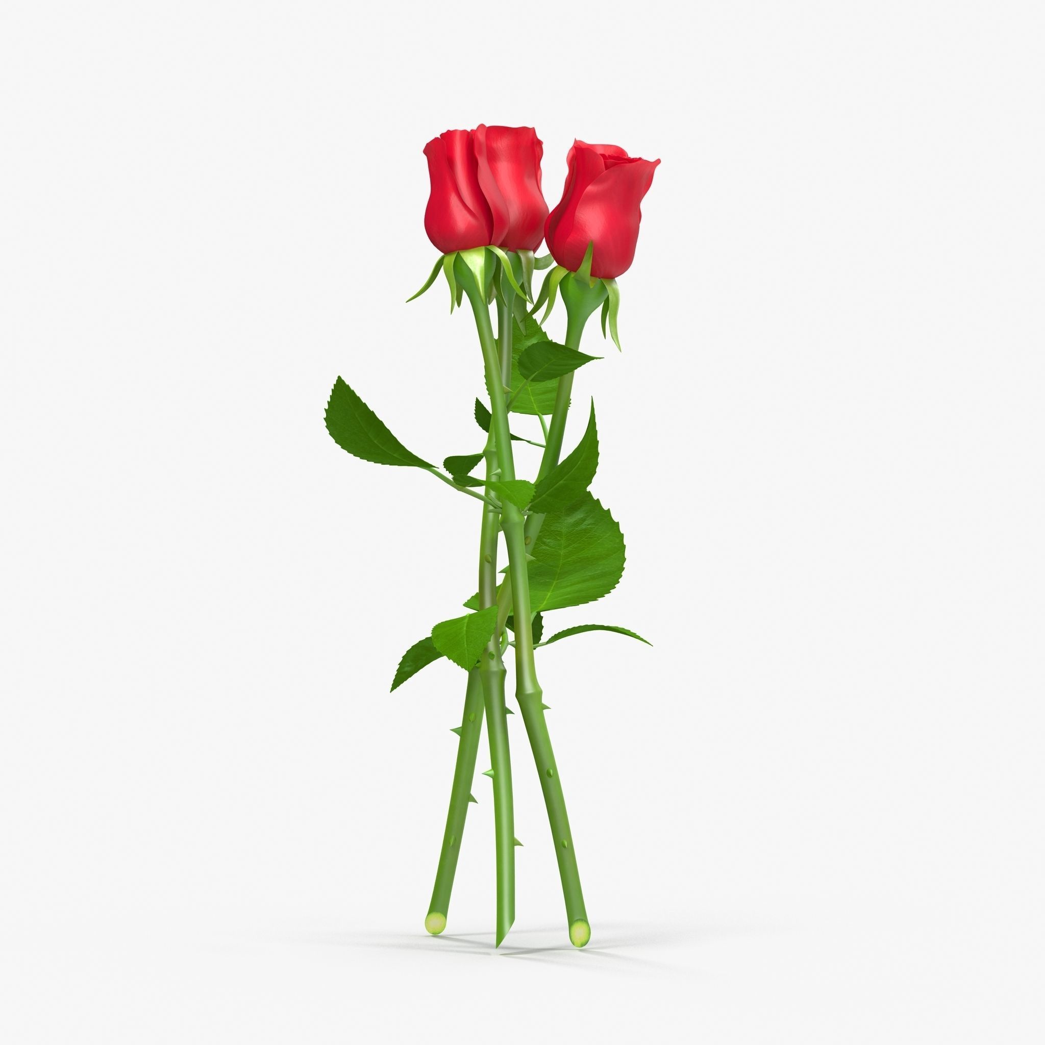 Rose Bouquet Low-poly 3D model_3