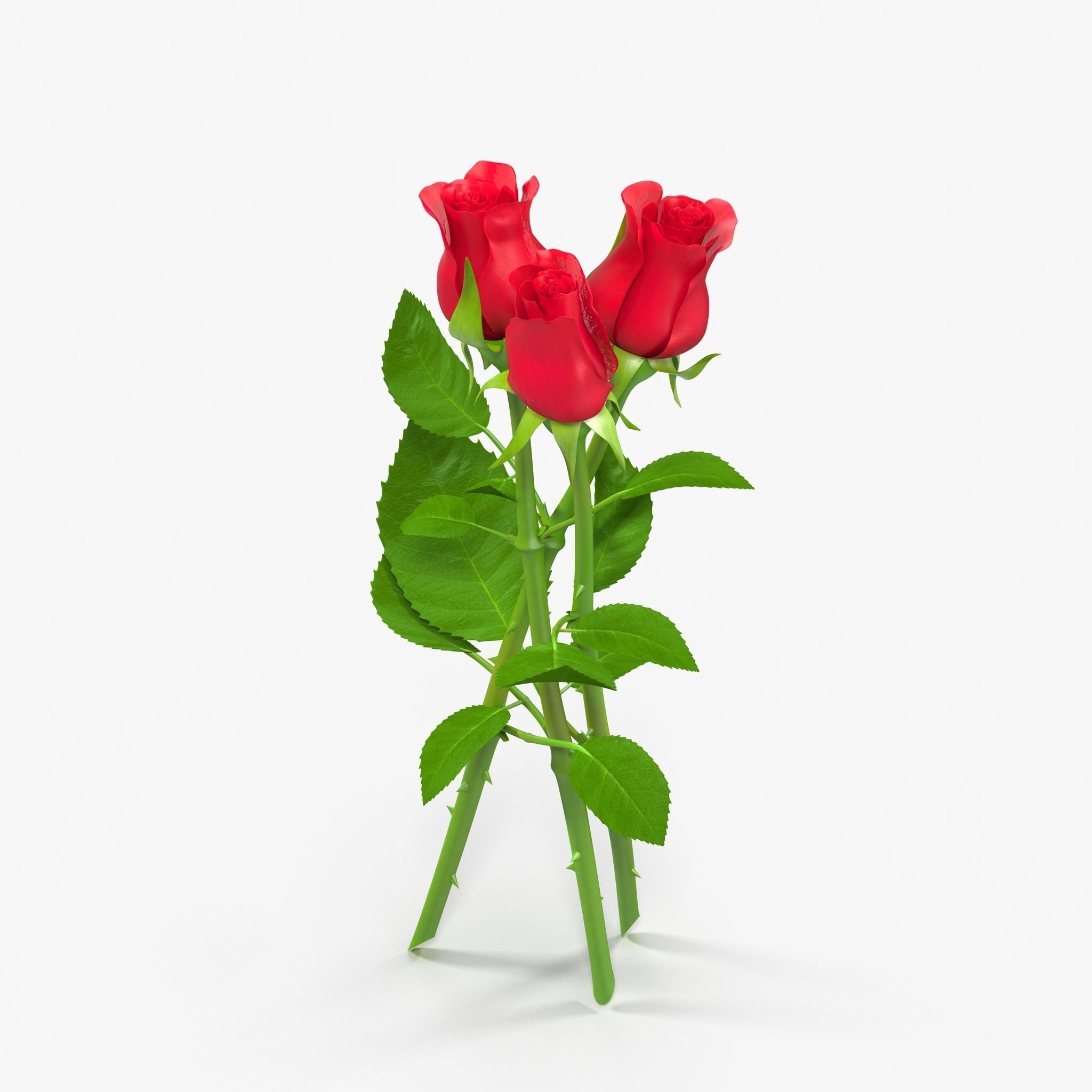 Rose Bouquet Low-poly 3D model_7