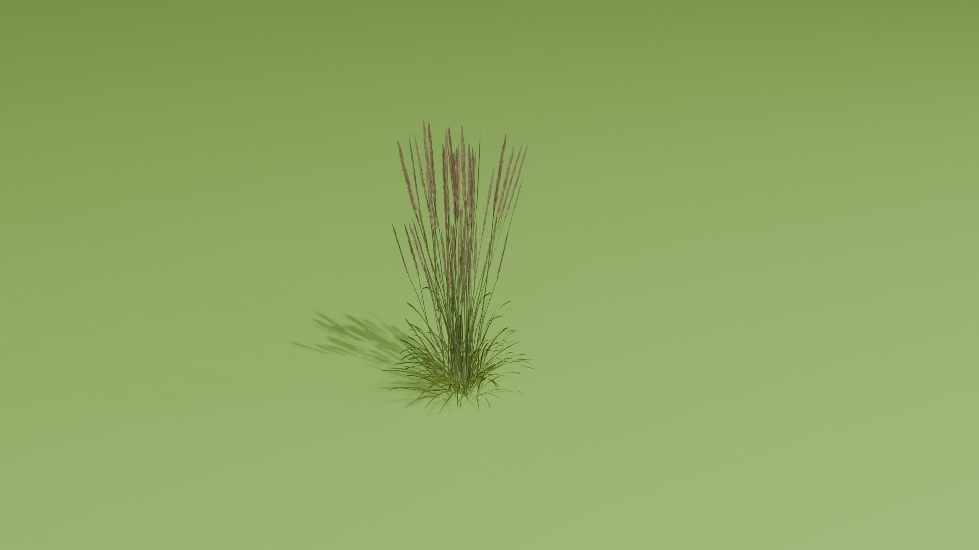 REALISTIC BLENDER ASSETS Low-poly 3D model_6