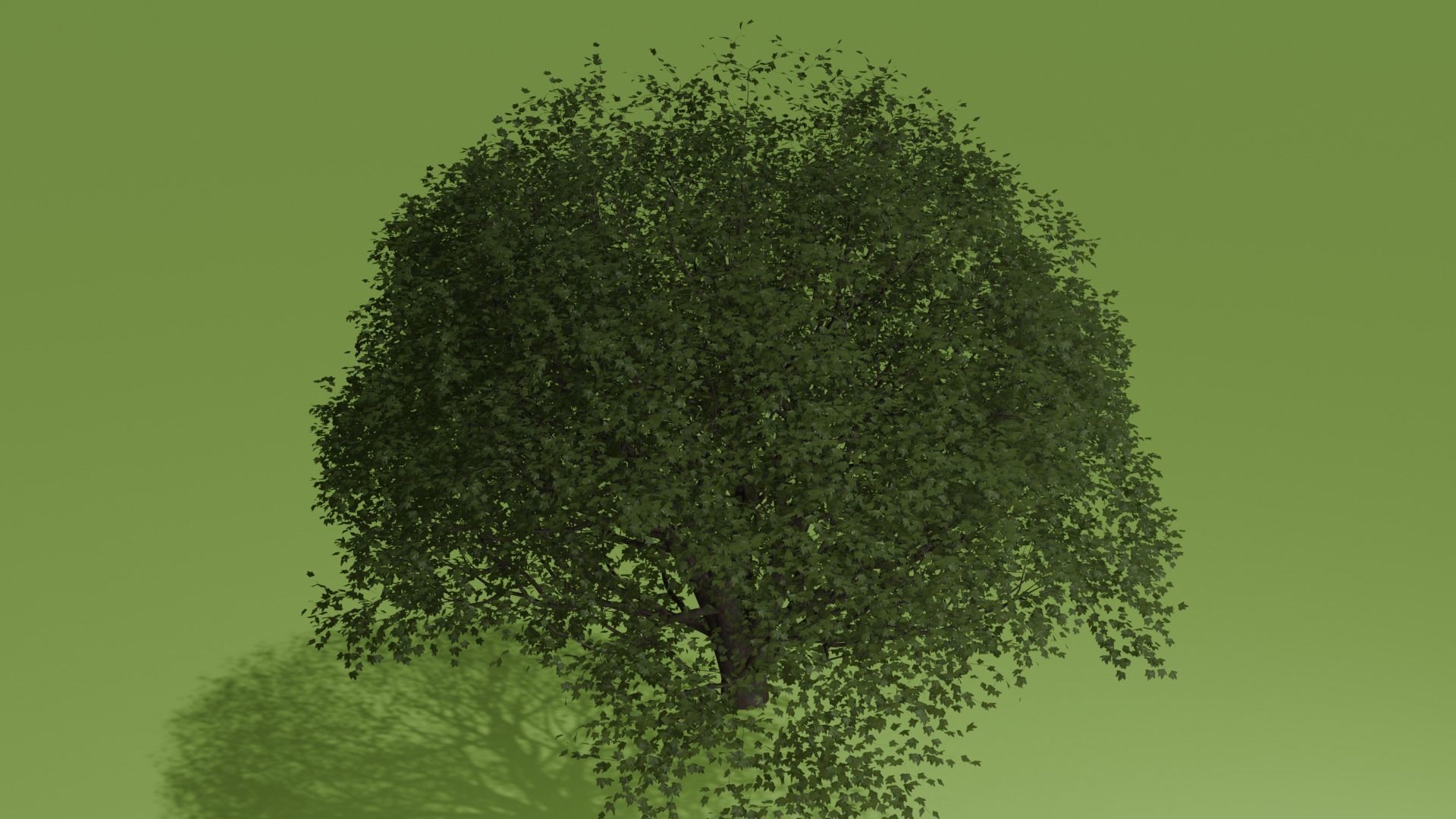 REALISTIC BLENDER ASSETS Low-poly 3D model_2