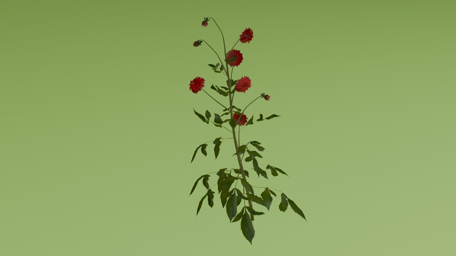 REALISTIC BLENDER ASSETS Low-poly 3D model_5