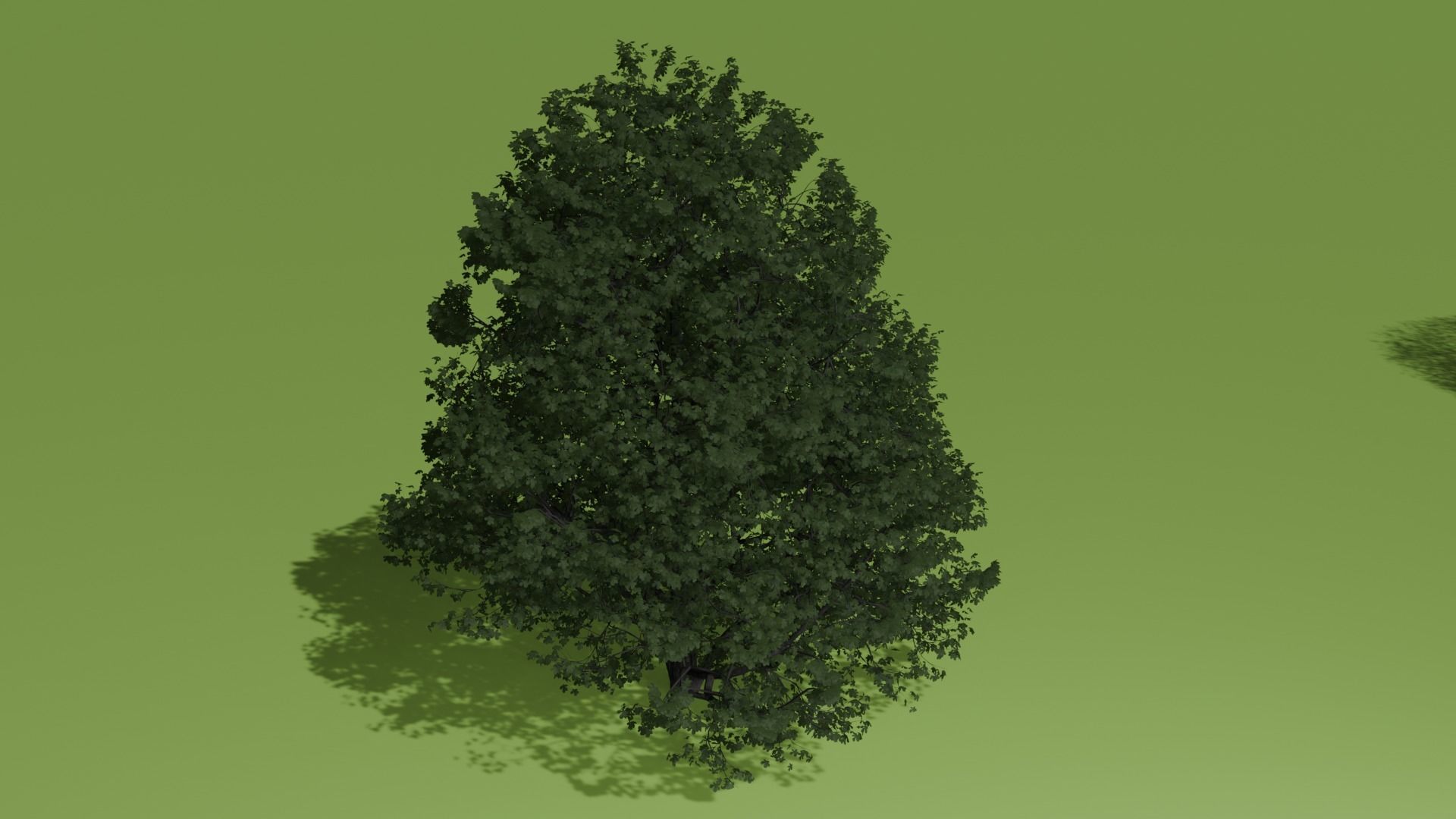 REALISTIC BLENDER ASSETS Low-poly 3D model_3