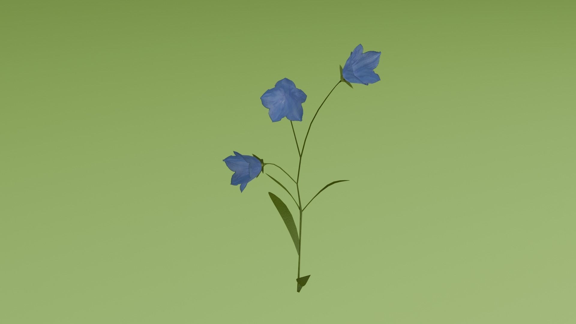 REALISTIC BLENDER ASSETS Low-poly 3D model_7