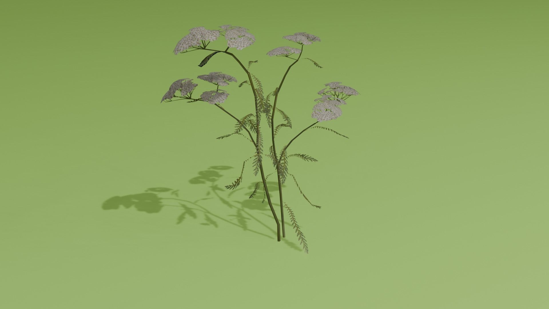 REALISTIC BLENDER ASSETS Low-poly 3D model_8