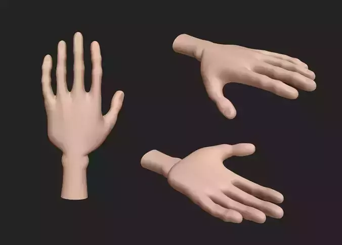Hand Human