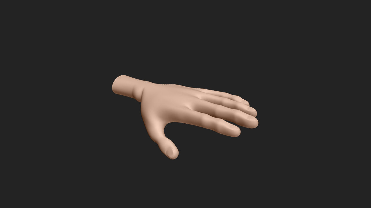 Hand Human Low-poly 3D model_9