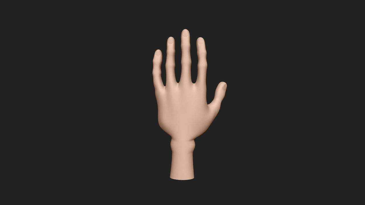 Hand Human Low-poly 3D model_6