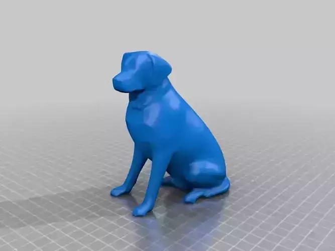 Simple dog model