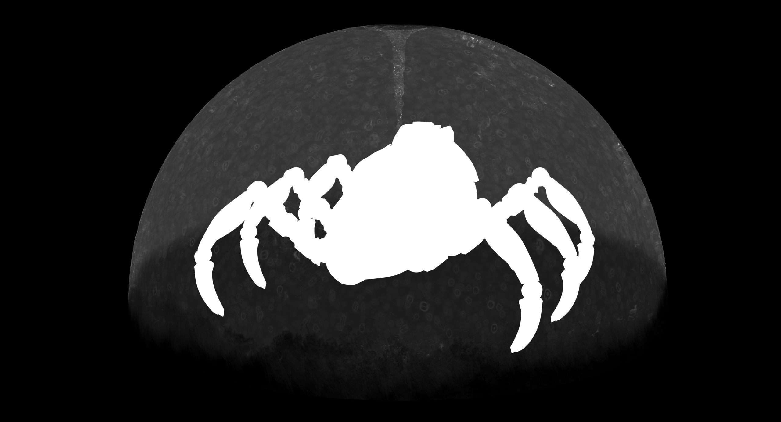 Sci-Fi Spider Low-poly 3D model_5