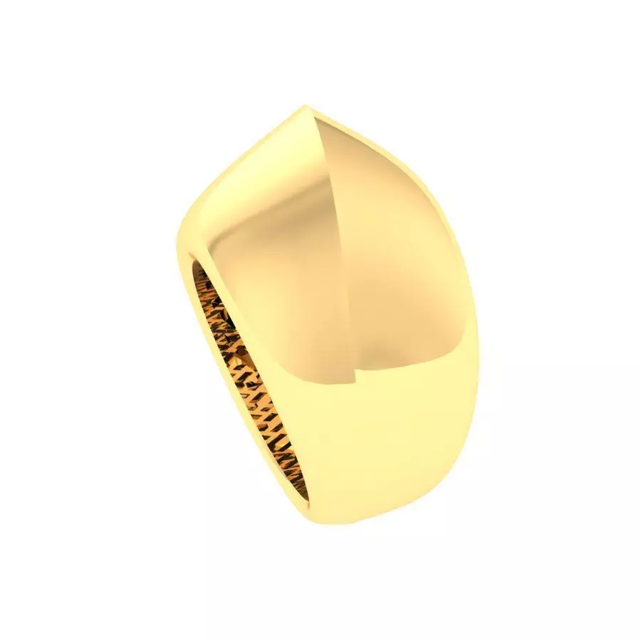 Aurea Dome DC01 3D print model_2