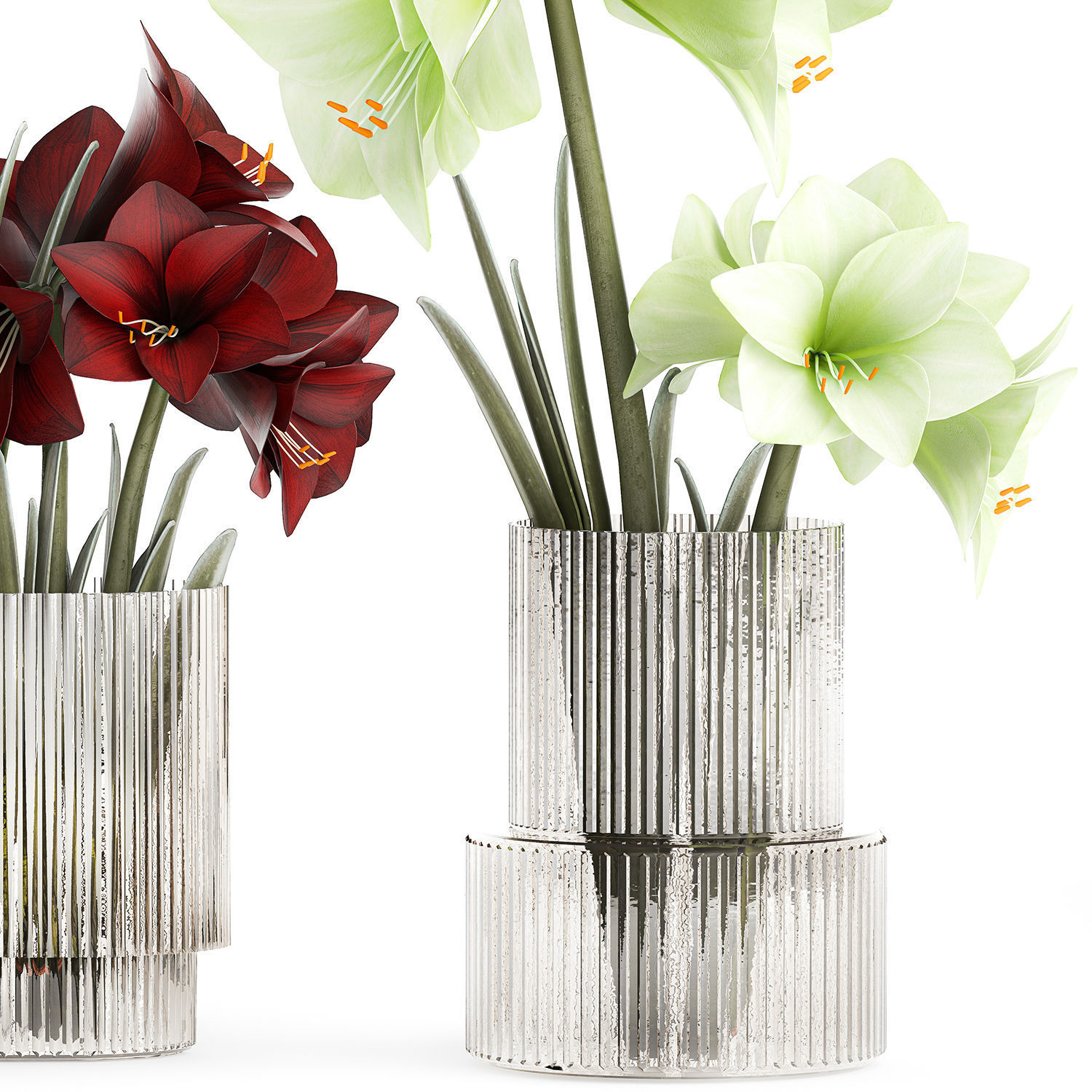 Realistic bouquets of white red Hippeastrum flowers 383 3D model_11