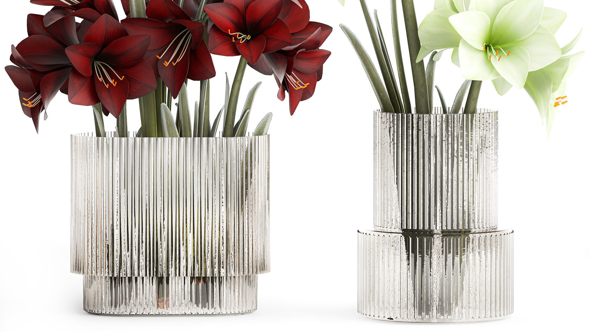 Realistic bouquets of white red Hippeastrum flowers 383 3D model_3