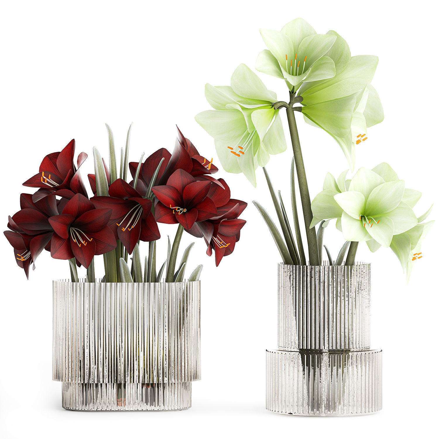Realistic bouquets of white red Hippeastrum flowers 383 3D model_9