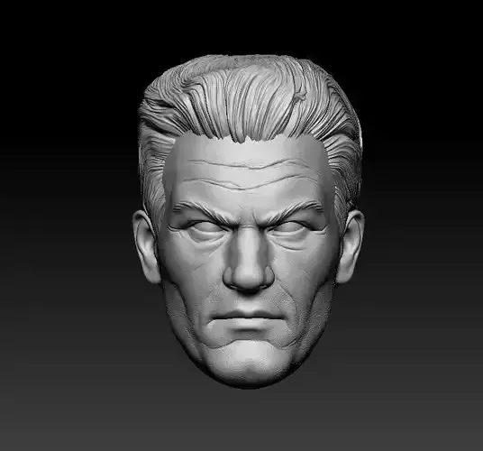 Reed - Headsculpt for Action Figures 3D print model