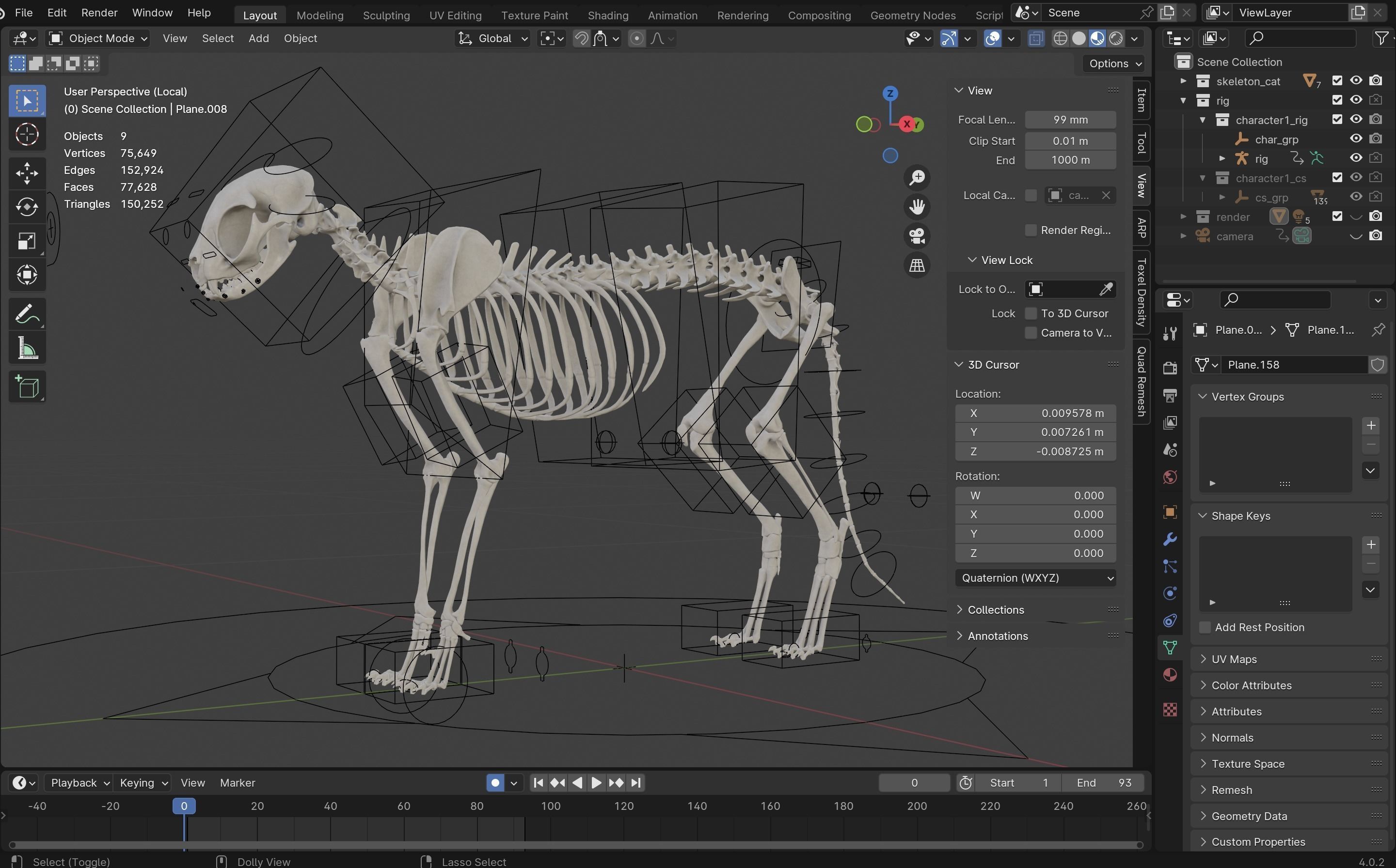 Skeleton Cat Low-poly 3D model_5