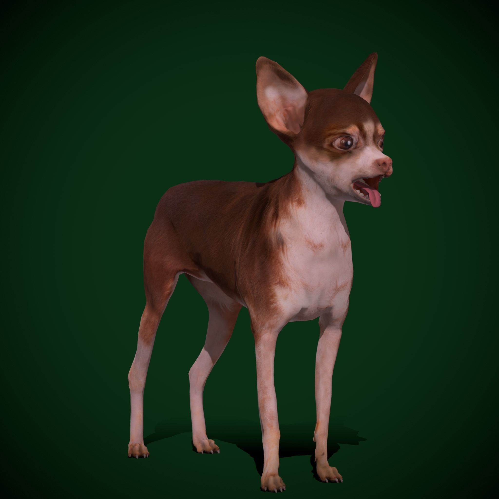 Russian Toy Terrier Dog Breed Low-poly 3D model_18
