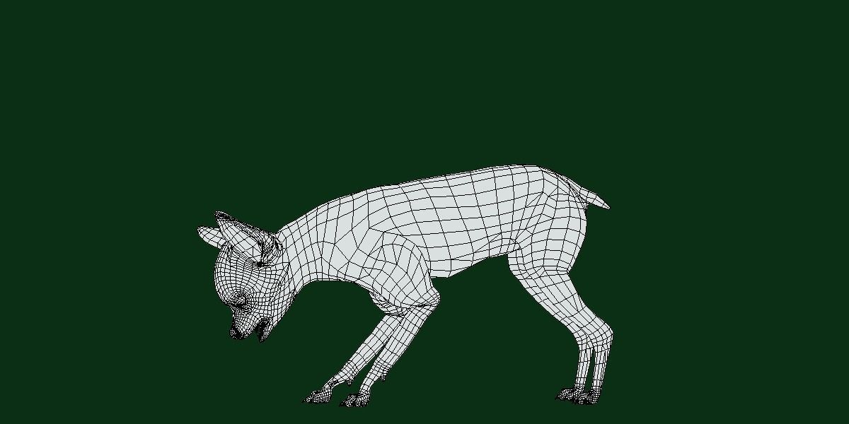 Russian Toy Terrier Dog Breed Low-poly 3D model_12