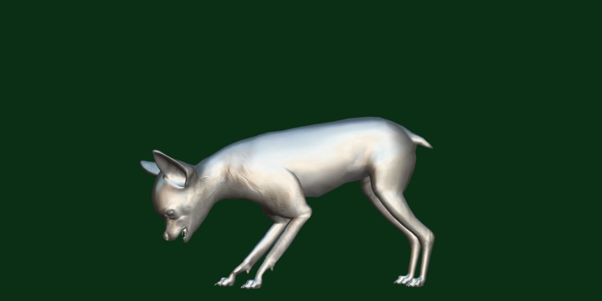 Russian Toy Terrier Dog Breed Low-poly 3D model_11