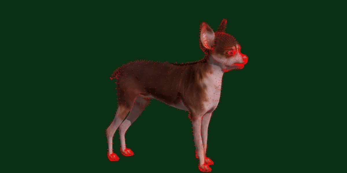 Russian Toy Terrier Dog Breed Low-poly 3D model_14