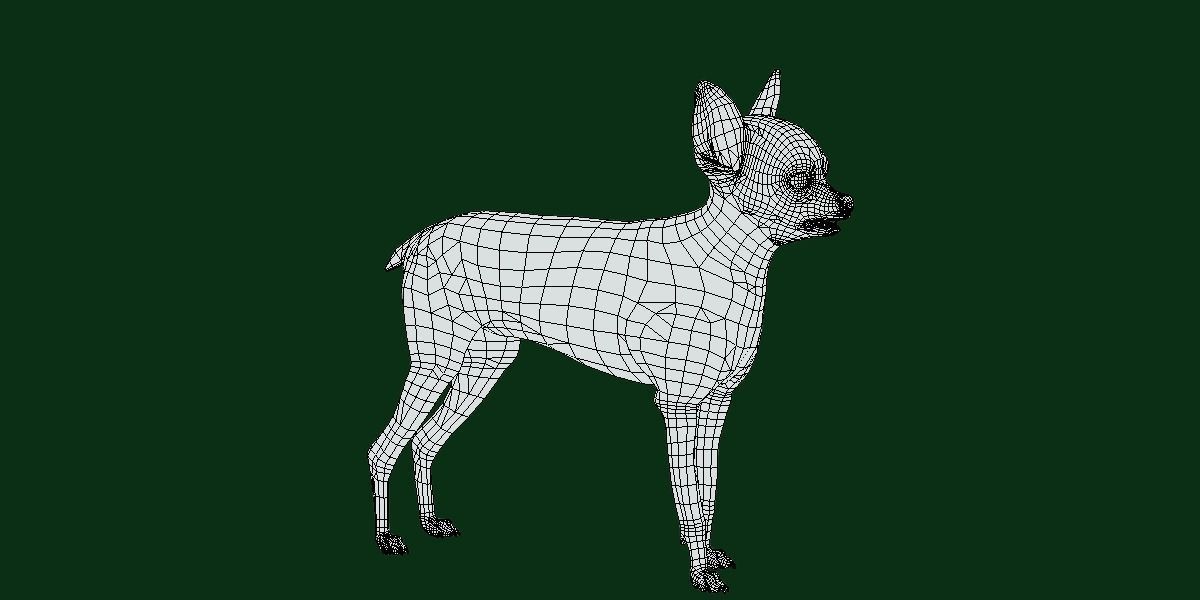 Russian Toy Terrier Dog Breed Low-poly 3D model_13