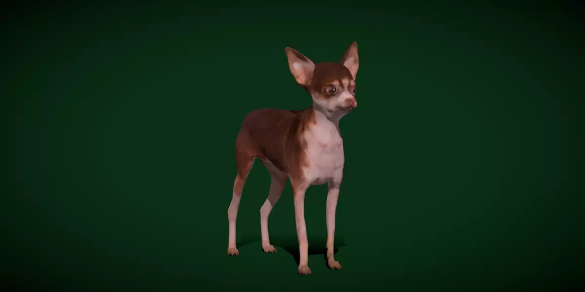 Russian Toy Terrier Dog Breed Low-poly 3D model_0