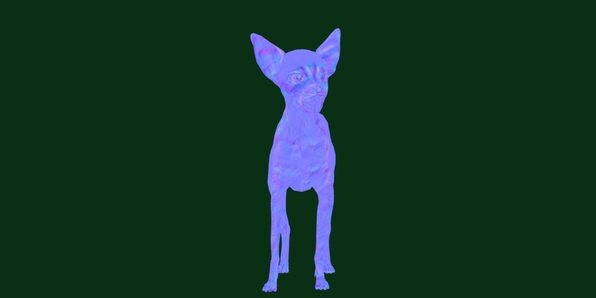 Russian Toy Terrier Dog Breed Low-poly 3D model_25