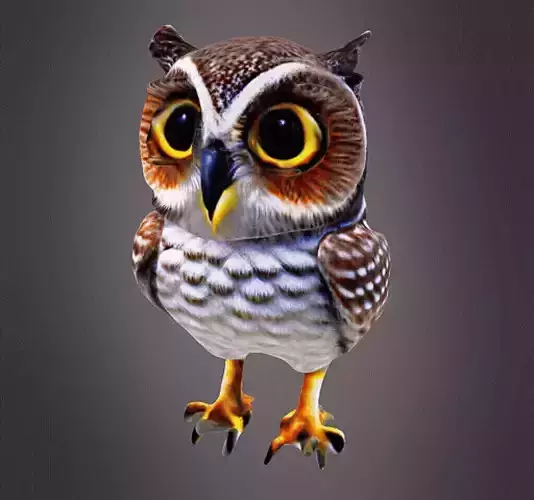 Baby owl realistic